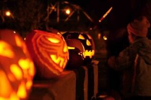 Pumpkins in the Park