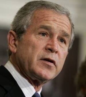 bush_cp_8885155