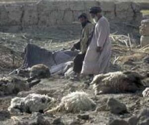 civilian-dead-afghan-cp-1982562