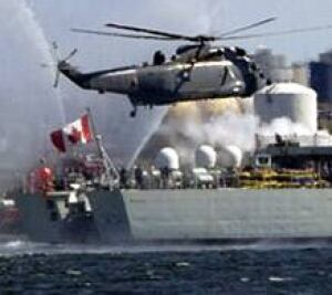 seaking-dnd_060202