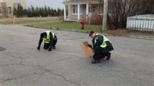 QC hit-and-run investigators
