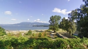 Hadden Park - dog off-leash beach