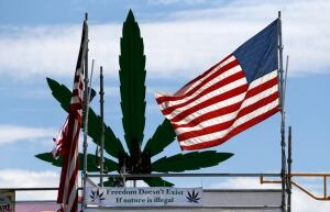 Hempfest