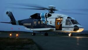 li-cougar-night-cnlopb-2012