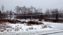 Downed power lines