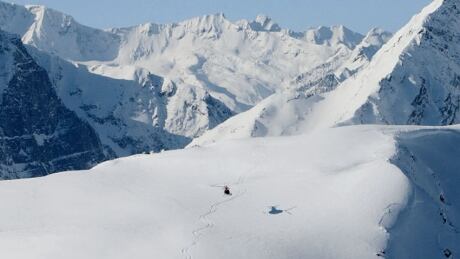 Heli-skiing trips involve helicopters bringing skiers to remote mountains. Heli-ski
