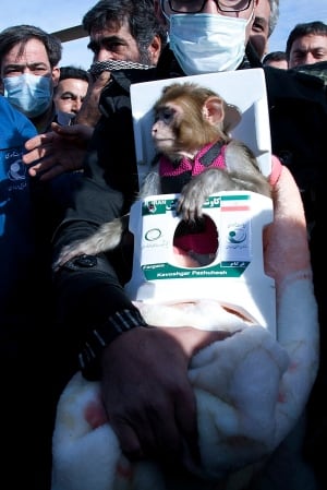 Mideast Iran Space Monkey