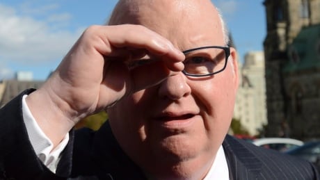 Sen. Mike Duffy shields his eyes as he arrives at the Senate on Parliament Hill in Ottawa on Tuesday, Oct. 22, 2013. THE CANADIAN PRESS/Sean Kilpatrick YEAR Diary Photos