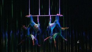 li-varekai-cirque
