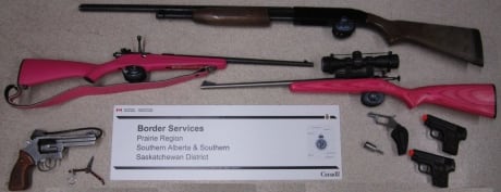 Guns seized at border skpic