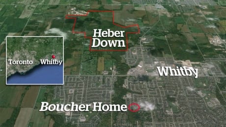 Boucher map