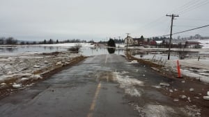 Dorchester flooding