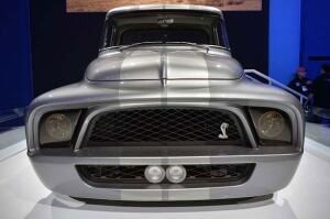 Snakebit truck being auctioned