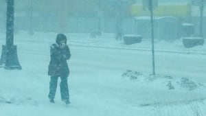 snow blizzard
