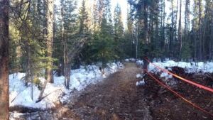 Mulched black bear den not marked