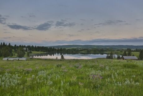 Priddis lake view
