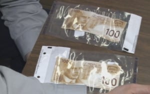 Counterfeit bills - Daley 2014