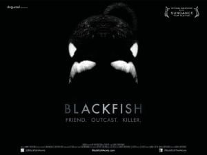 Blackfish