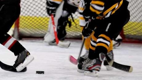 Police have charged hockey dad Terry Litt, 57, with uttering death threats against a 10-year-old player on a Burnaby Winter Club Atoms team.
Burnaby Winter Club