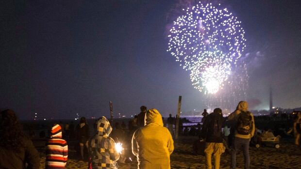 VICTORIA PARK FIREWORKS victoria park fireworks: