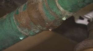 Sunset Towers mould problem 4