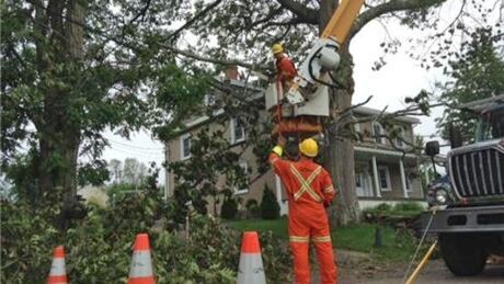 NB Power has about 300 crews working to restore power, including these workers from Hydro-Québec. NB Power is working to restore power with help from others, such as this crew from Hydro-Québec