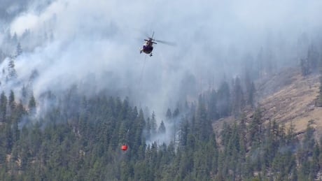 The Smith Creek wildfire covered 260 hectares and was 50 per cent contained as of Sunday morning. West Kelowna Smith Creek wildfire