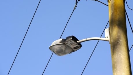 LED streetlights are expected to last longer and use less power than regular bulbs. LED street light