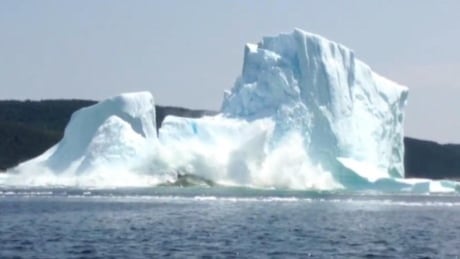A still from video recorded by Wanda Stead shows an iceberg collapsing in Bay of Exploits, in central Newfoundland. Iceberg collapse