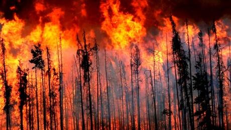 B.C. wildfires generic