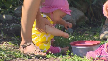 A young Vancouverite gets introduced to the greenspace that volunteers have been managing for over a decade along the Arbutus rail corridor. CP Rail says it will begin surveying after July 31, 2014, and community gardens along the right of way will have to go. Arbutus rail corridor baby