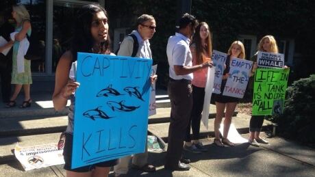 This protester says she supports whale rehabilitation, but then they should be released. Vancouver Aquarium protester
