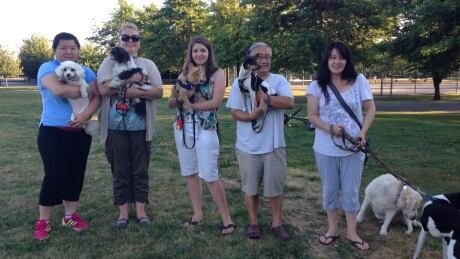 Dover Park dog owners want their off-leash area back. It was recently moved to McCallum Park. Dog Park 2
