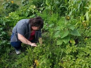 community gardening with Lynn Simard-McMurray