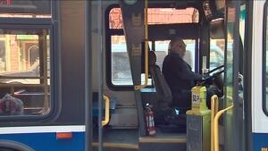 Fredericton Transit bus driver