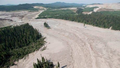 The 2014 breach of the Imperial Metals-owned Mount Polley copper and gold mine tailings pond in central British Columbia, has been called one of the biggest environmental disasters in modern Canadian history. This aerial view shows the damage caused by a tailings pond breach near the town of Likely, B.C., where a years worth of mining waste and slurry flowed into Polley Lake. B.C. tailings pond breach