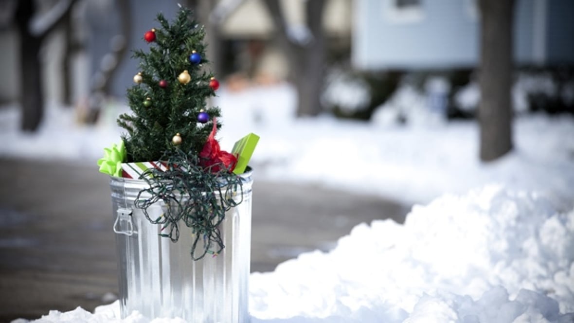 christmas tree collection starts monday in windsor christmas tree collection starts monday in windsor