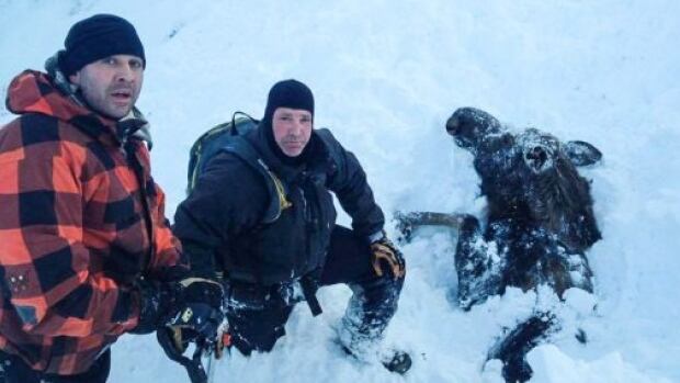 In this photo published in the Alaska Times Dispatch, Rob Uphus and Marty Mobley pose with a moose they found buried in an avalanche.