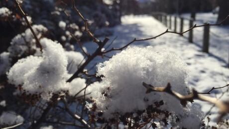Freezing rain warning issued for part of western Manitoba - CBC.ca