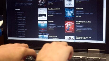 Some politicians are calling for heavier oversight on the Communications Security Establishment's (CSE) eavesdropping service that accesses everyday Canadians' online activity. Cyberfile 20100915