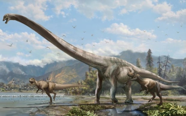 Alta Dragon Dinosaur 20150128