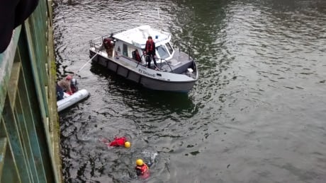 A mother and child, who were swept in the waters of Puntledge River near Courtenay, B.C., have been pulled out Friday afternoon. River rescue