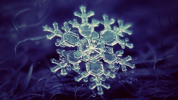 New Canadian research suggests kids with autism are as unique as snowflakes. Even in families where more than one sibling is autistic, the underlying genetics of the condition can be very different.