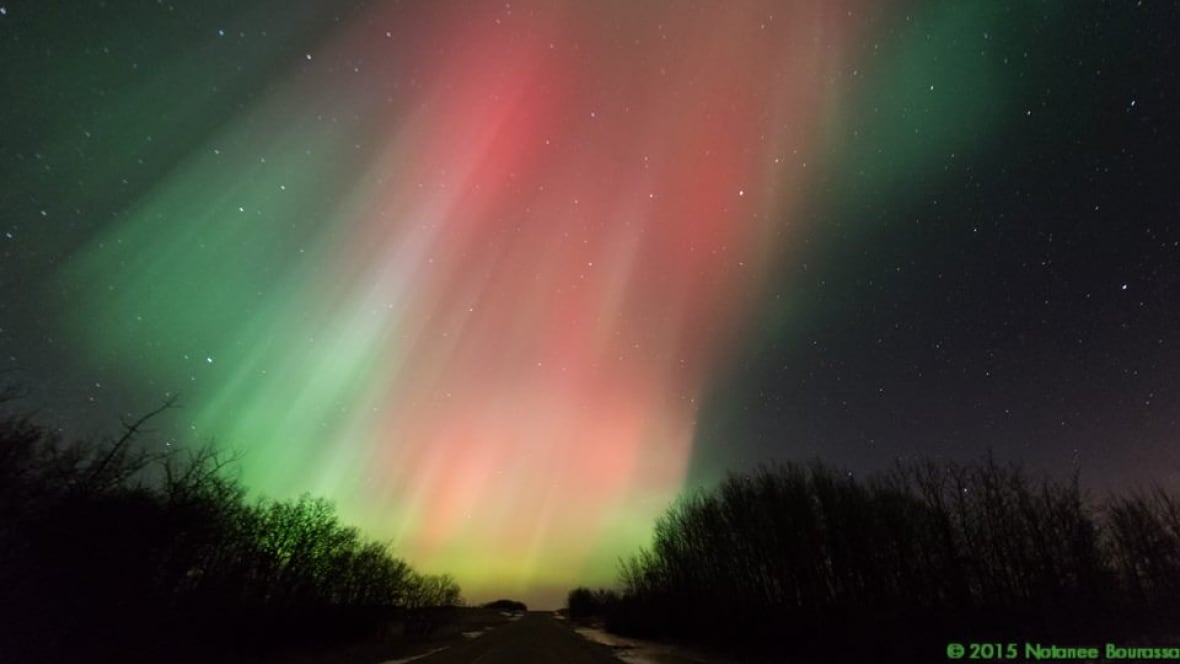 Stunning northern lights seen at Bulyea, Sask. Saskatchewan CBC News