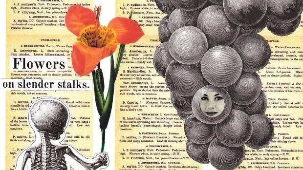 Ilustration from the story "A Body Like a Little Nut" in "By the Book" by Diane Schoemperlen