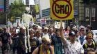 GMO-Monsanto protest, Toronto