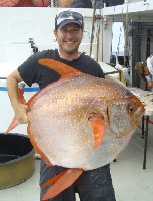 opah-moonfish.JPG