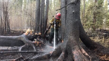 Information on wildfires in colorado