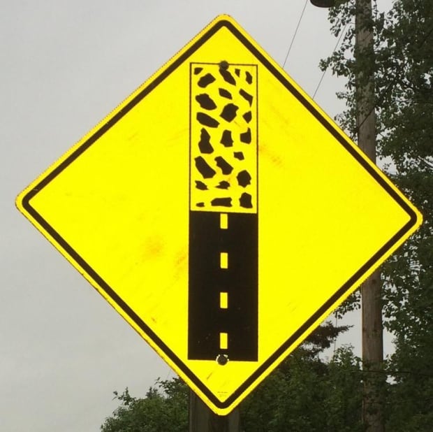Pavement Ends