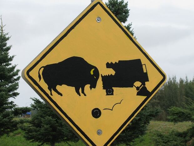 Buffalo sign